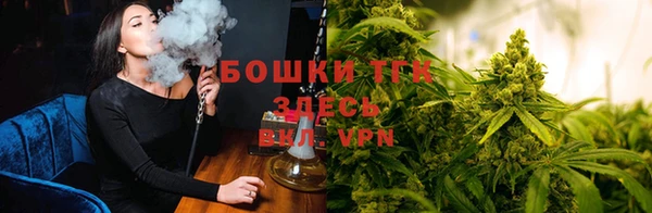 прущий лед Пестово
