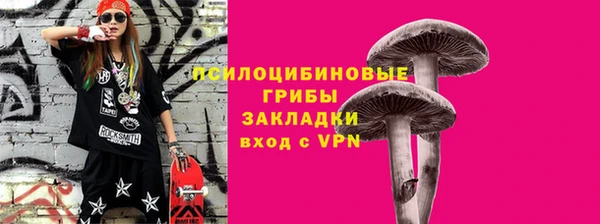 мескалин Переславль-Залесский