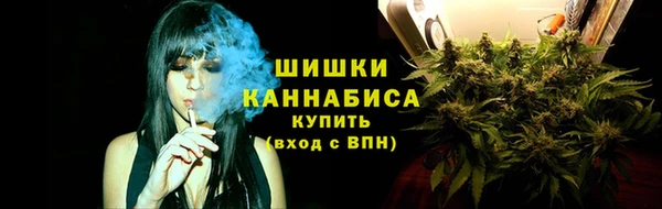 прущий лед Пересвет
