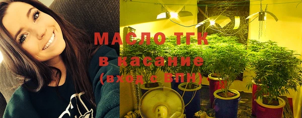 прущий лед Пересвет