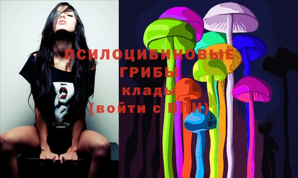 мескалин Переславль-Залесский
