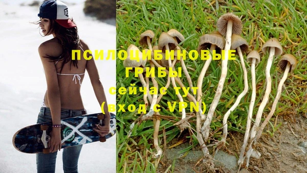 прущий лед Пестово