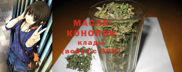 прущий лед Пересвет