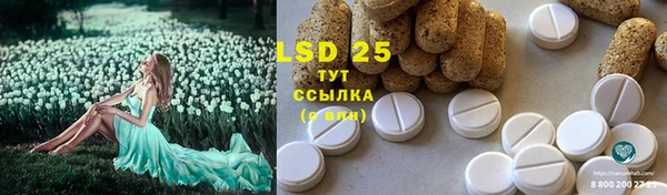 прущий лед Пестово