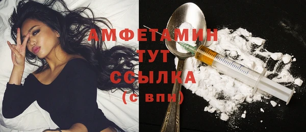 прущий лед Пересвет