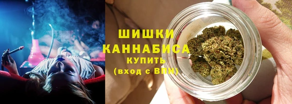 прущий лед Пестово