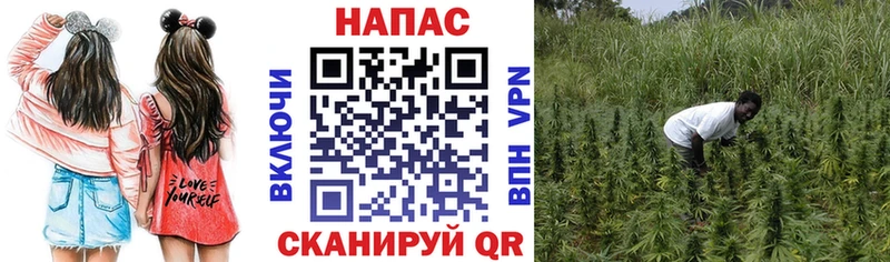 мега зеркало  Ковылкино  Марихуана марихуана 
